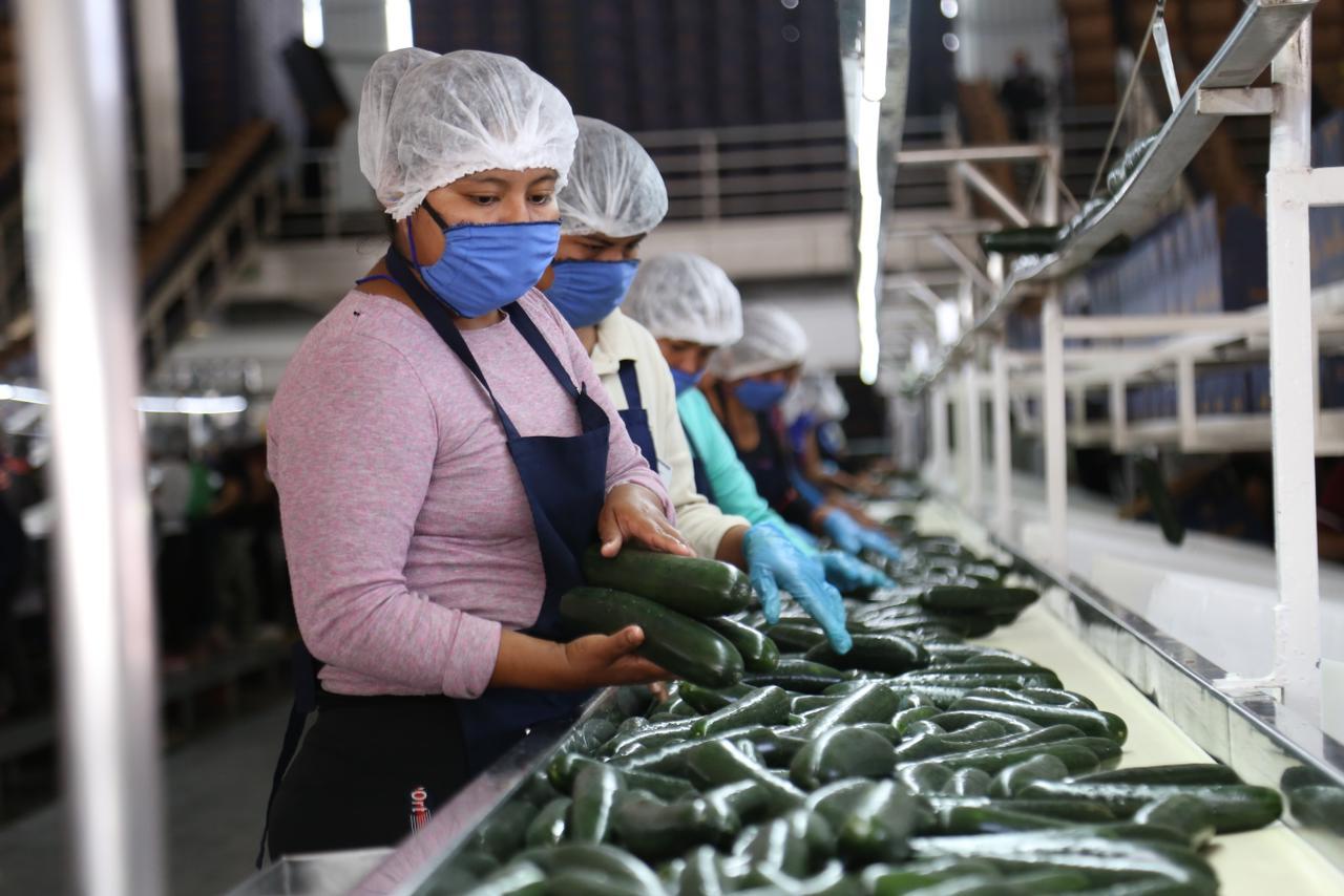 $!Sinaloa suma 18,736 nuevos empleos formales en julio: Economía