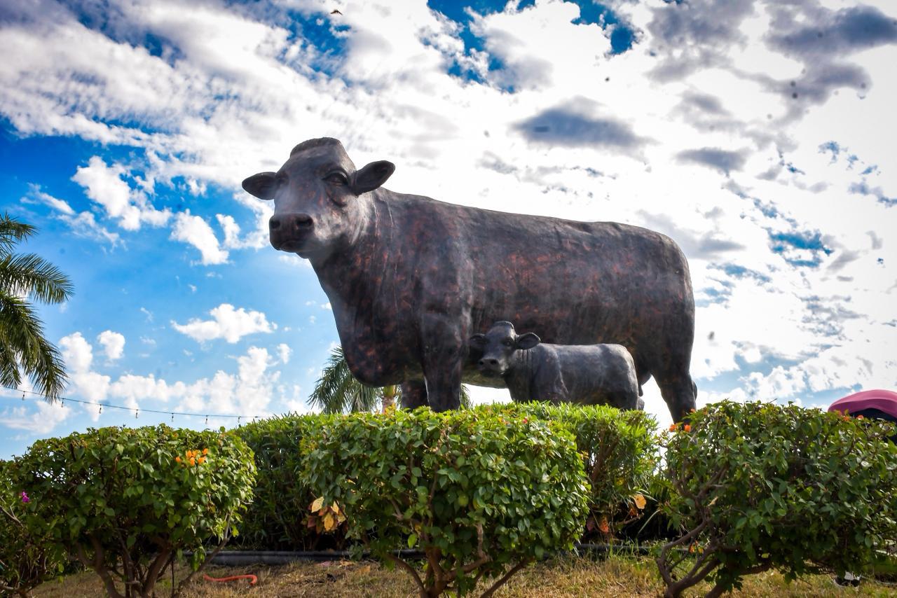 $!Arranca la Feria Ganadera de Culiacán 2025 bajo operativo reforzado de seguridad