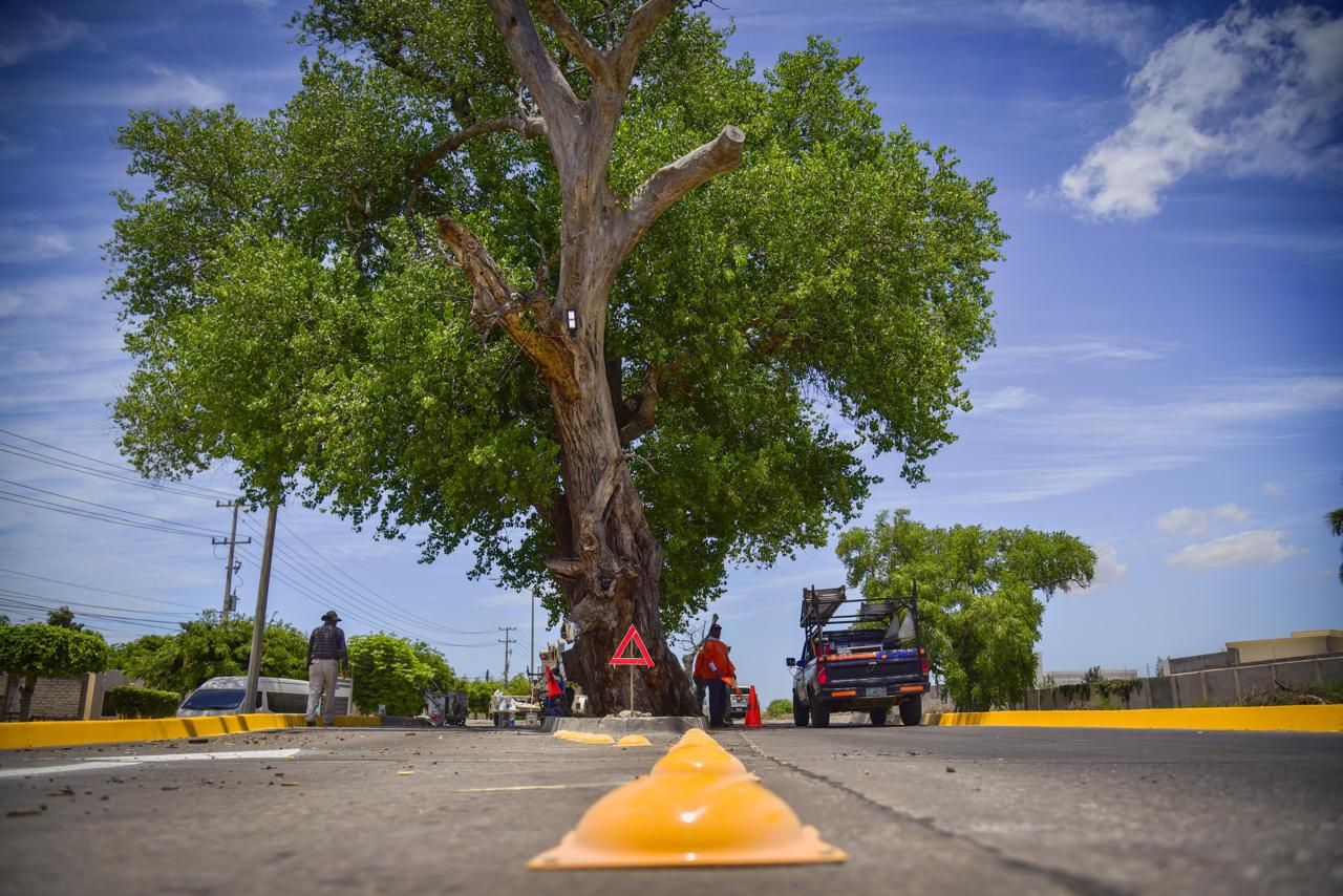 $!Refuerzan señalización vial tras accidente ocurrido el fin de semana en Los Mochis