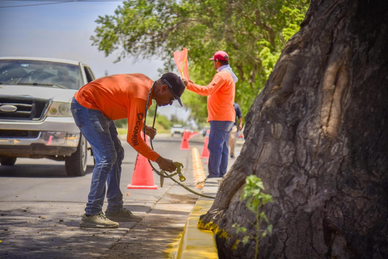 $!Refuerzan señalización vial tras accidente ocurrido el fin de semana en Los Mochis