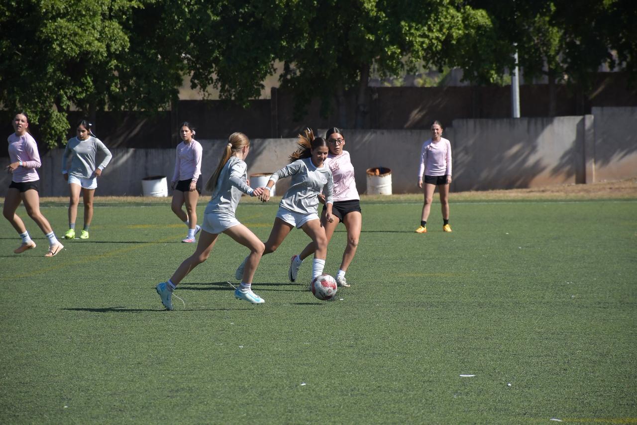 $!La séptima Copa GSG entra a su recta final con intensa actividad en La Primavera