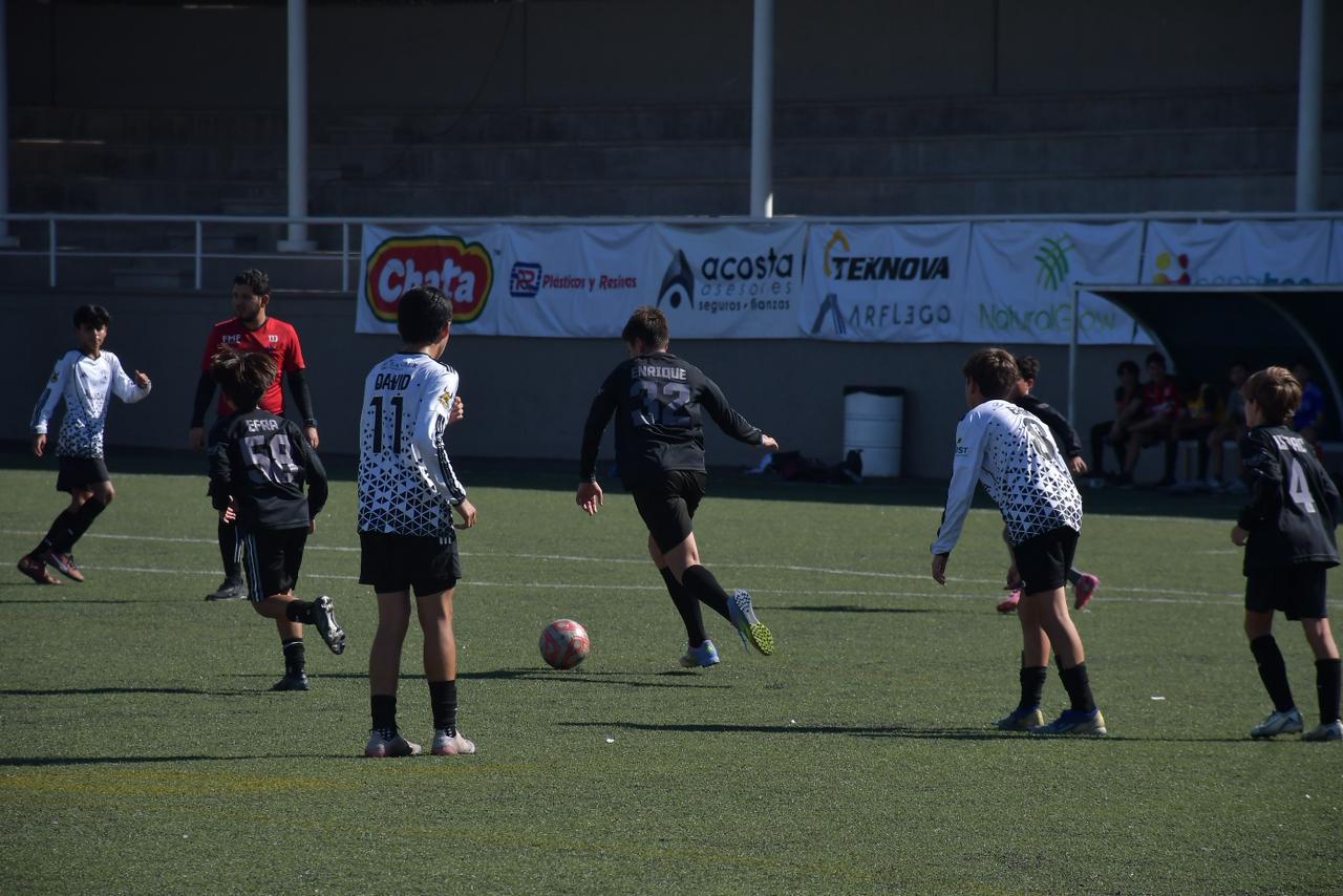 $!La séptima Copa GSG entra a su recta final con intensa actividad en La Primavera