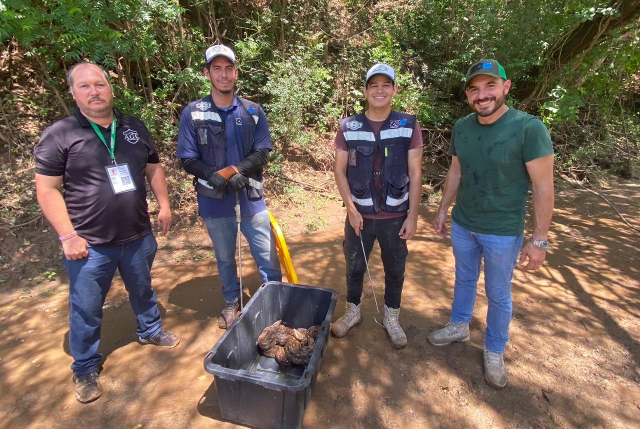 $!Zoológico de Culiacán regresa a otros seis reptiles a su hábitat