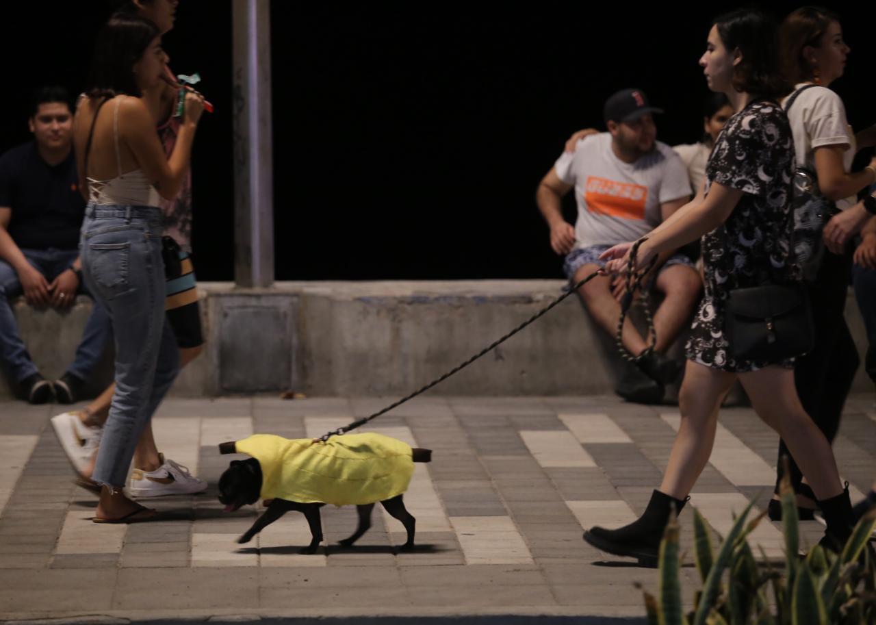 $!Vive Mazatlán un domingo tranquilo en familia y con algunos disfrazados en las calles