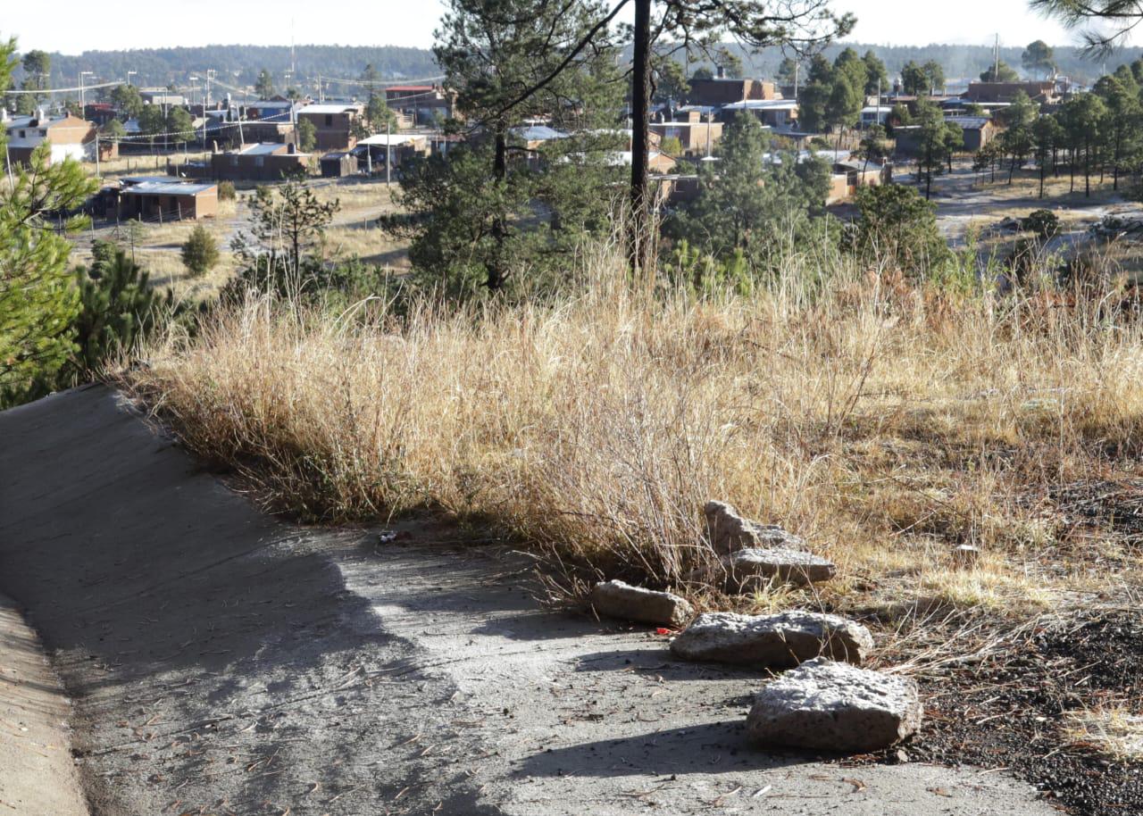 $!Escarcha y temperaturas bajo cero se registra en sierra de Durango