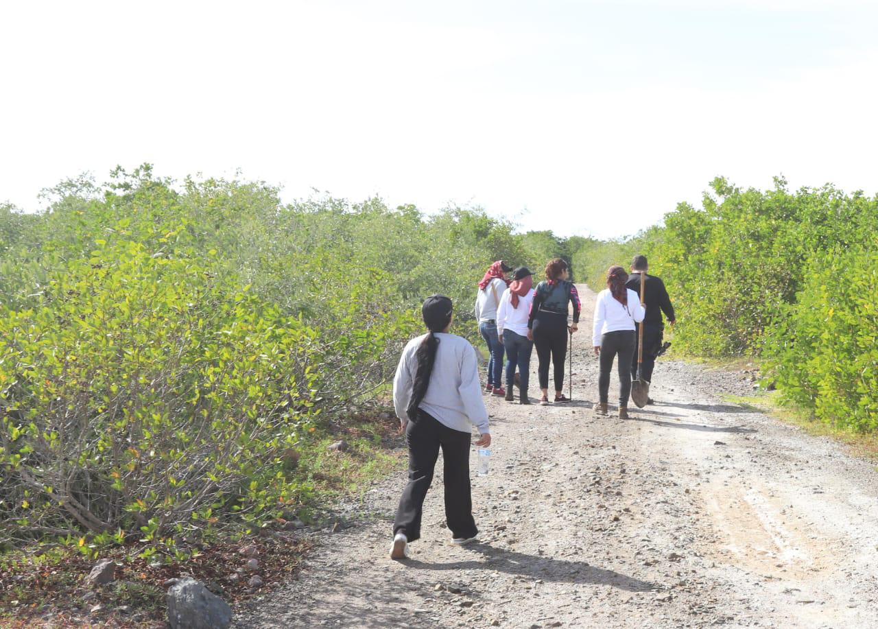 $!Encuentran rastreadoras dos puntos positivos al sur de Mazatlán