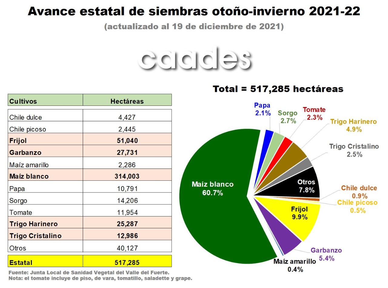 $!Maíz gana terreno en la Bolsa de Chicago y ya con la base se cotiza en $5,680