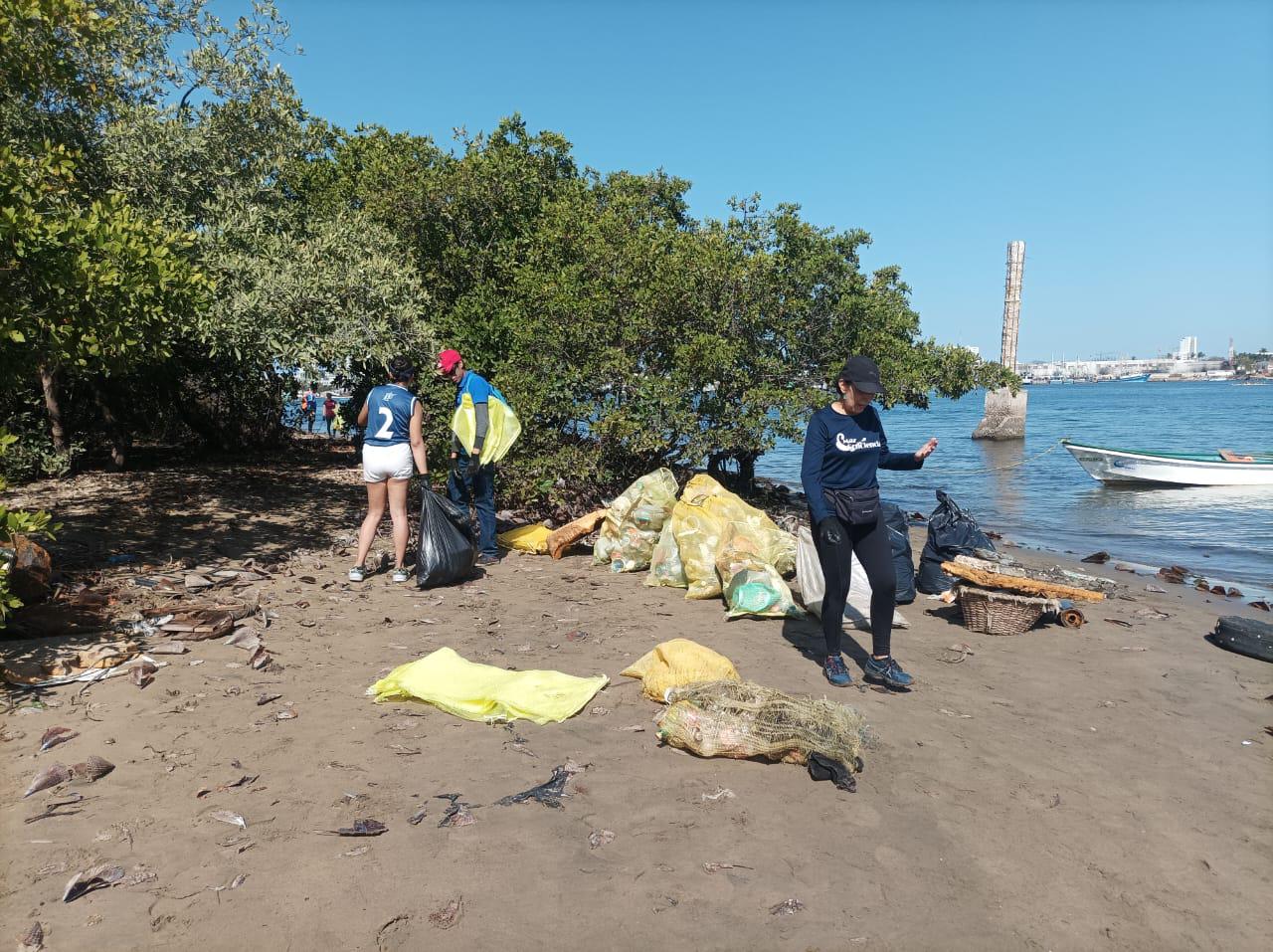 $!Recogen 1.4 toneladas de basura en mangle de la Isla de la Piedra