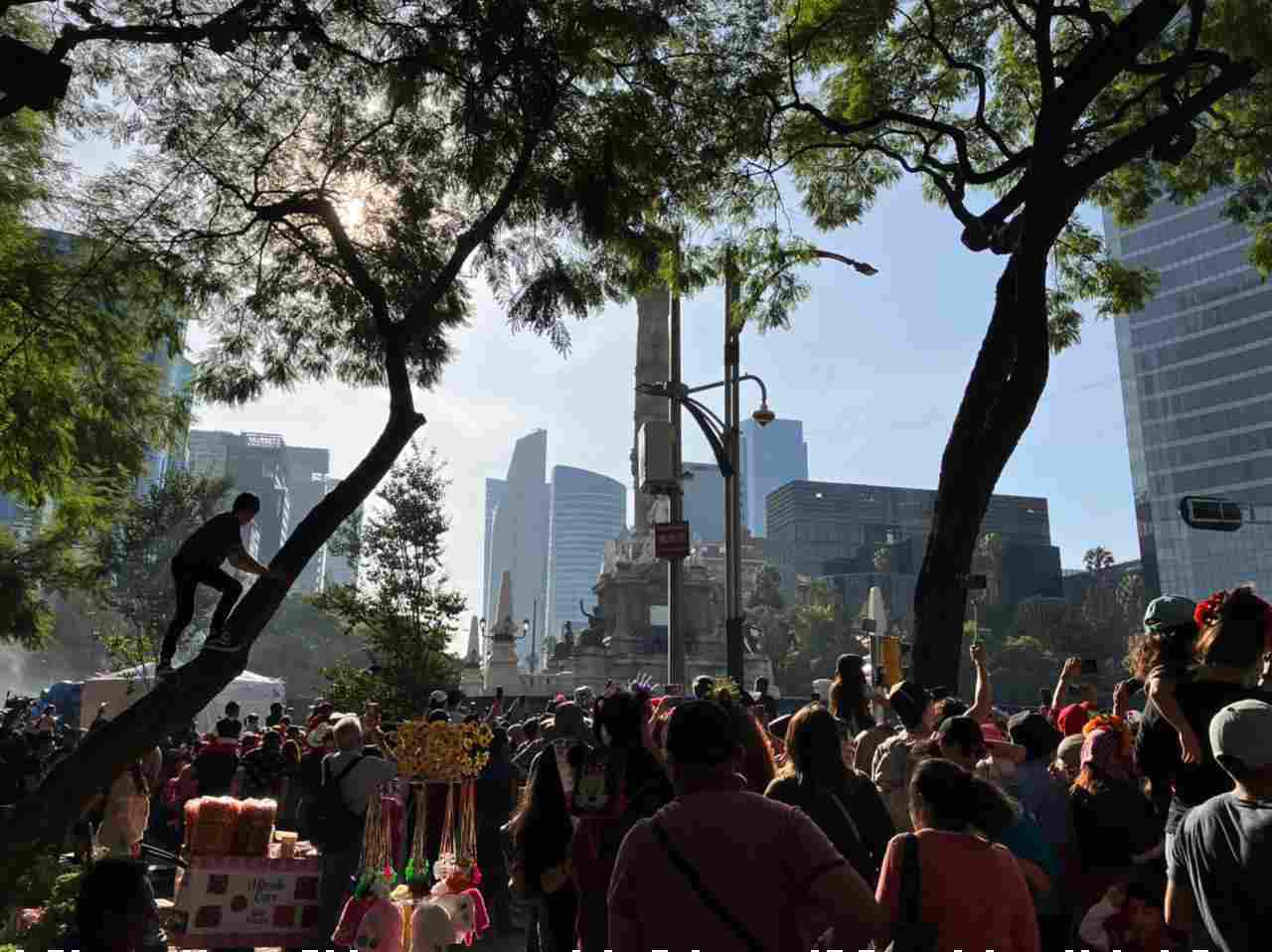$!Algunas personas se subieron hasta en los árboles para poder ver los carros alegóricos.