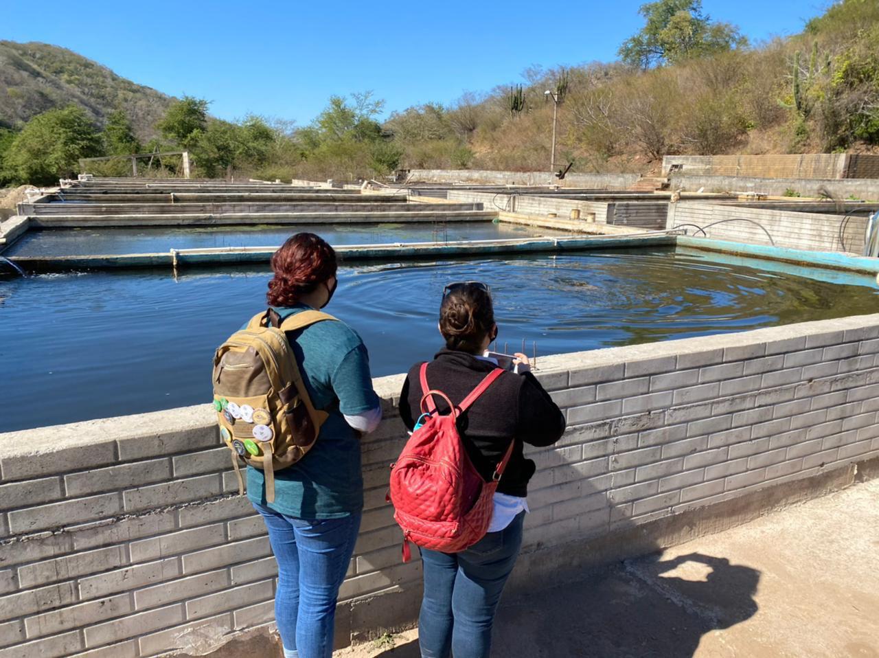 $!El proyecto se realizó en una granja en Eldorado.