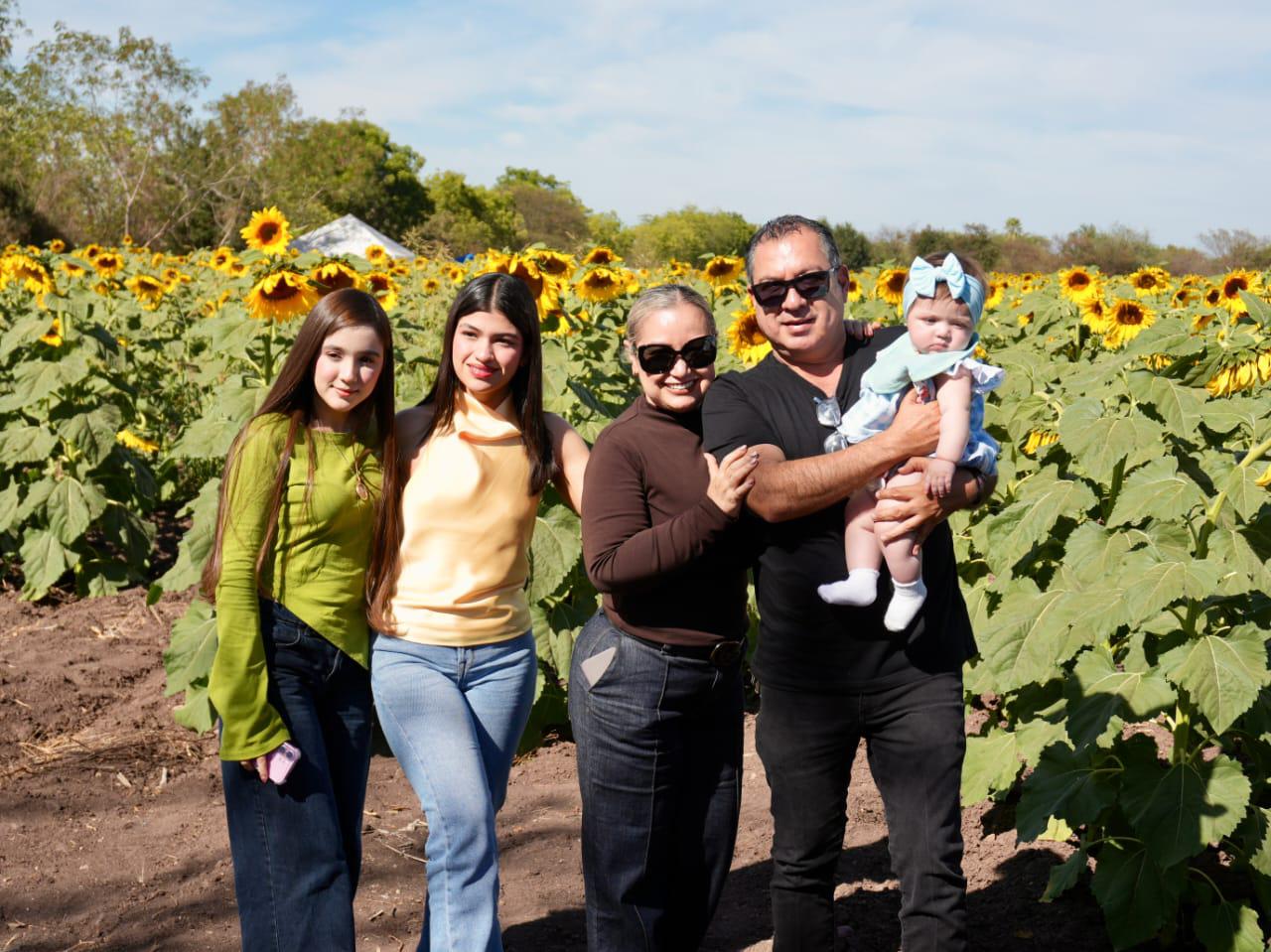 $!Campos de girasoles impulsan turismo en Mocorito y mantienen ocupación al 100%