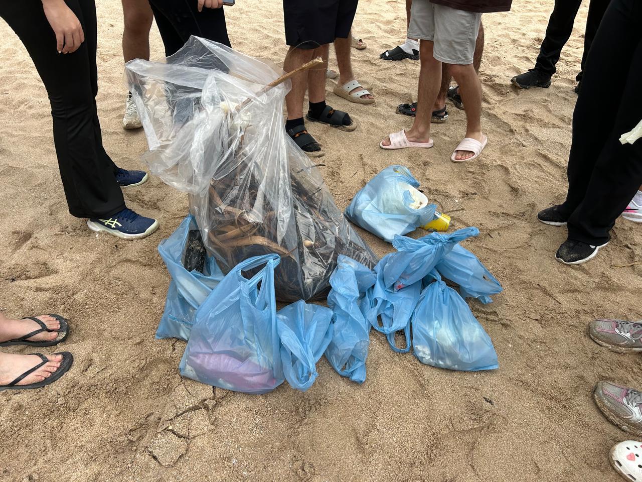 $!Retiran colillas, plásticos y palmas secas en playas de Cerritos, en Mazatlán