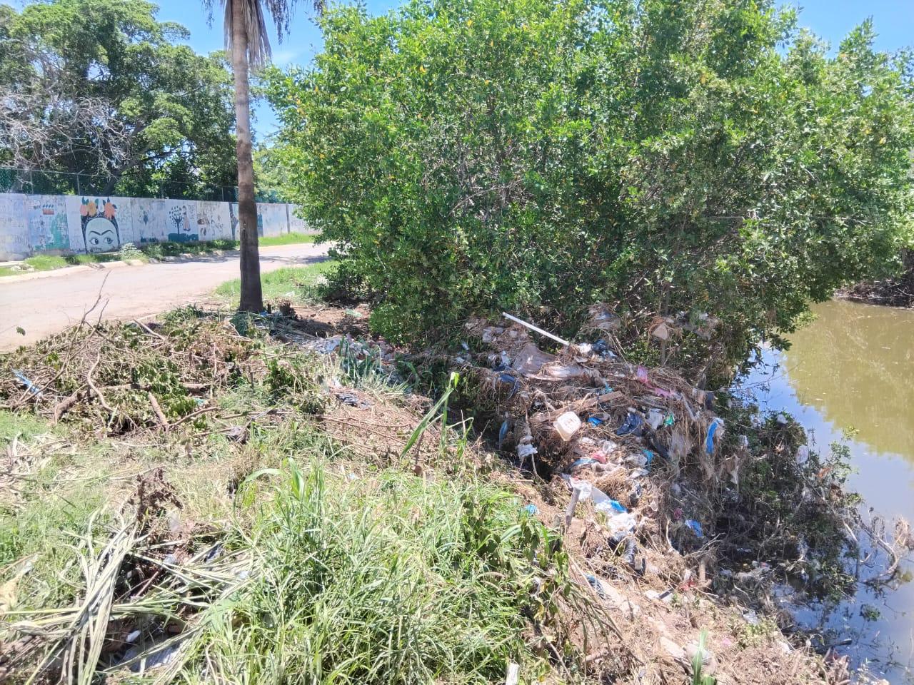 $!Basura y maleza se acumulan en el Arroyo Jabalines pese a jornada de limpieza
