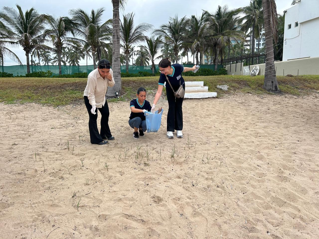 $!Retiran colillas, plásticos y palmas secas en playas de Cerritos, en Mazatlán