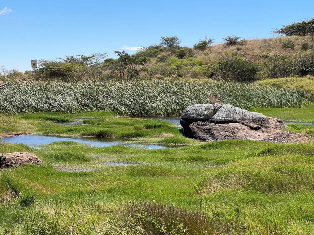 $!En agosto, cuando normalmente es época de sequía extrema, esta laguna aún tiene agua suficiente hasta inicios del siguiente año, cuando vendrán las nuevas lluvias.