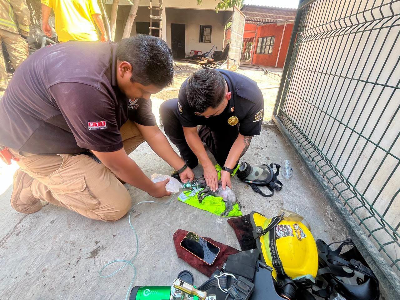 $!Sofocan incendio en casa, evacúan a sus habitantes y rescatan a cinco perritos, en Guasave
