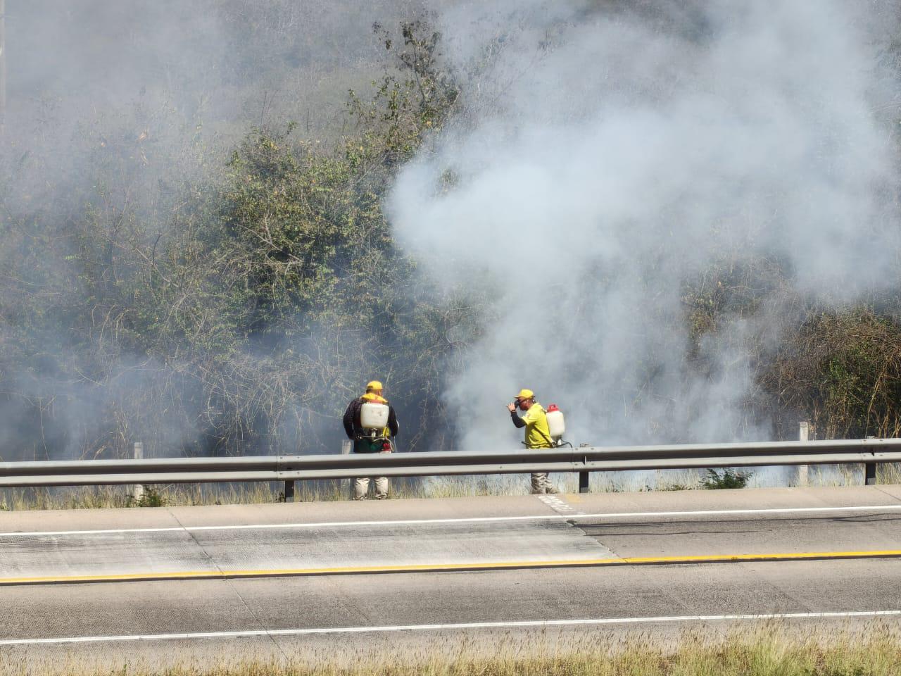 $!Incendio forestal en Rosario provoca apagón en Escuinapa