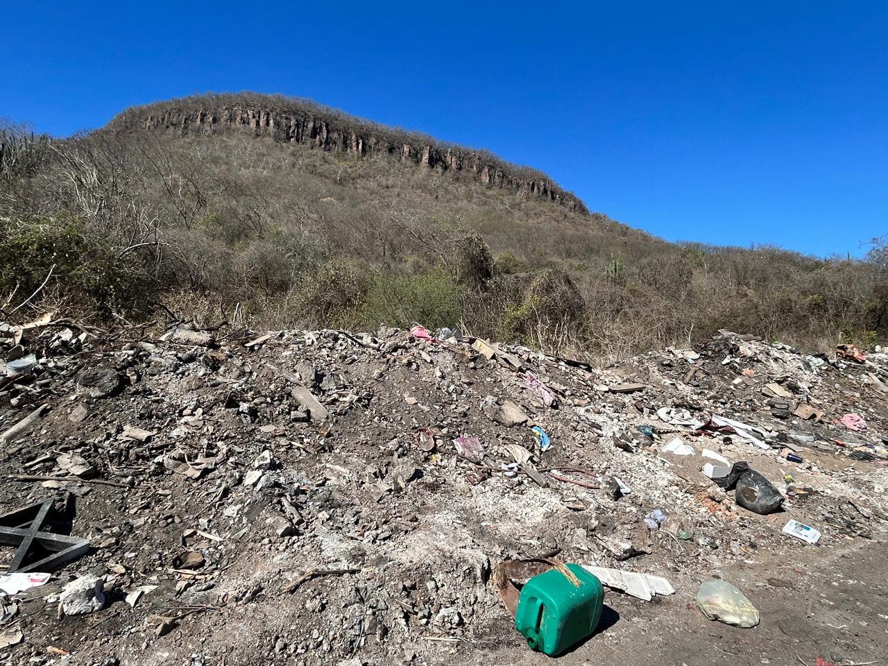 $!Denuncian foco de infección en El Barrio: basurero clandestino acumula hasta restos de animales