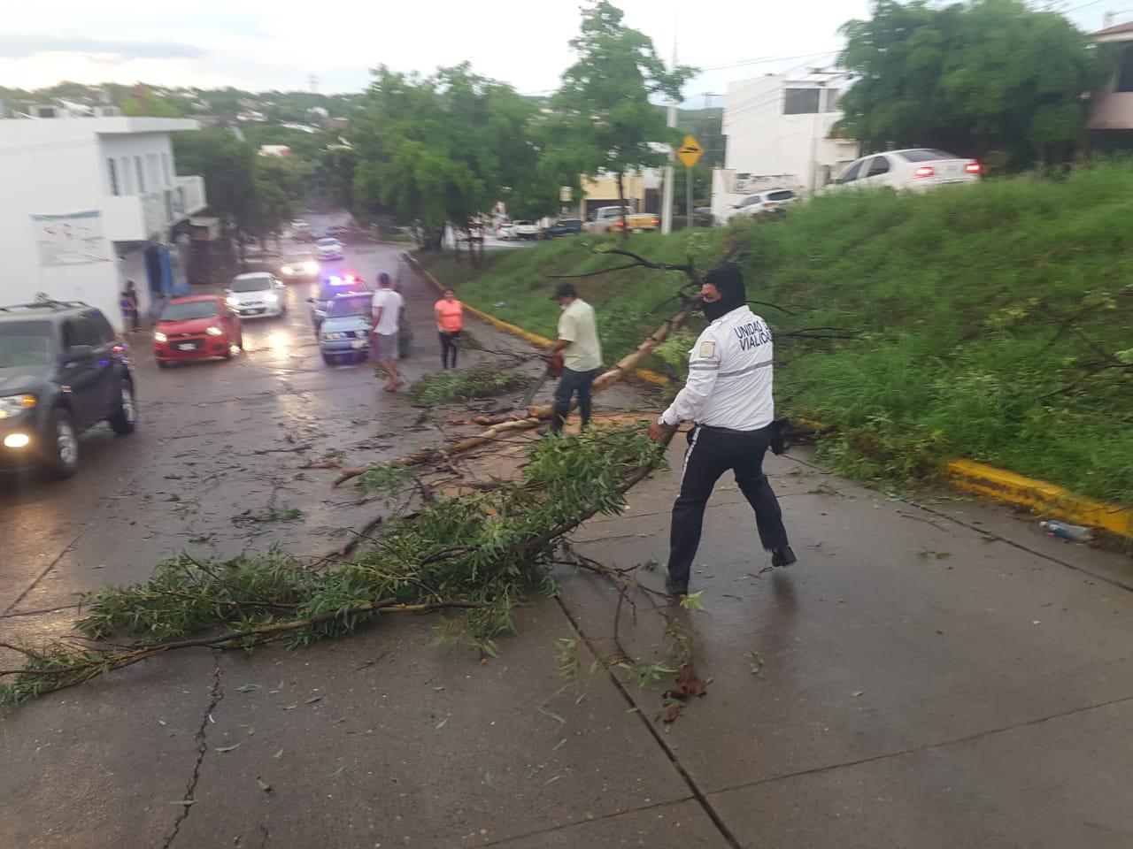 $!Árboles caídos, autos varados y mucha basura dejó la lluvia del miércoles, en Culiacán