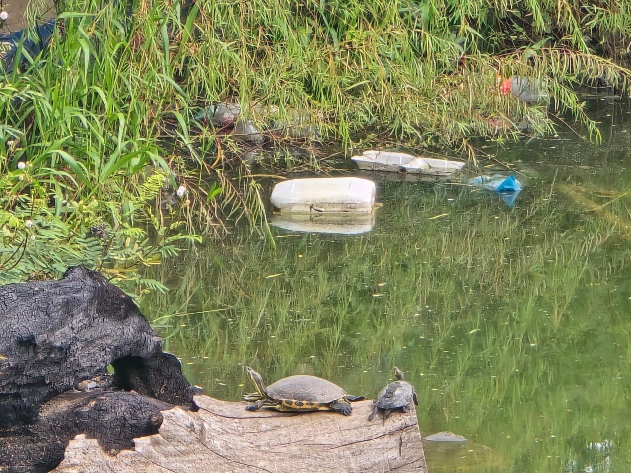$!Llaman a cuidar espacios turísticos en El Rosario ante vandalismo y basura