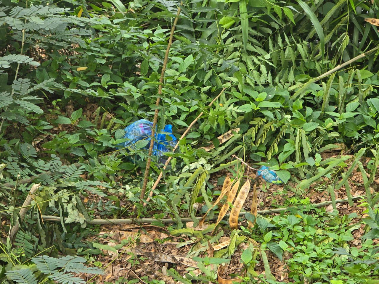 $!Lluvias arrastran basura a la Laguna del Iguanero, en Rosario