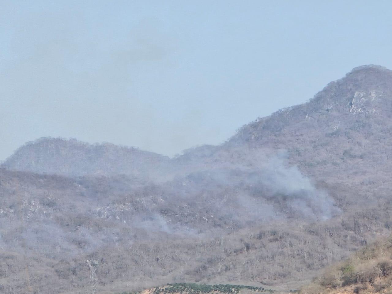 $!Incendios en Rosario se han adelantado mucho por la sequía: Protección Civil