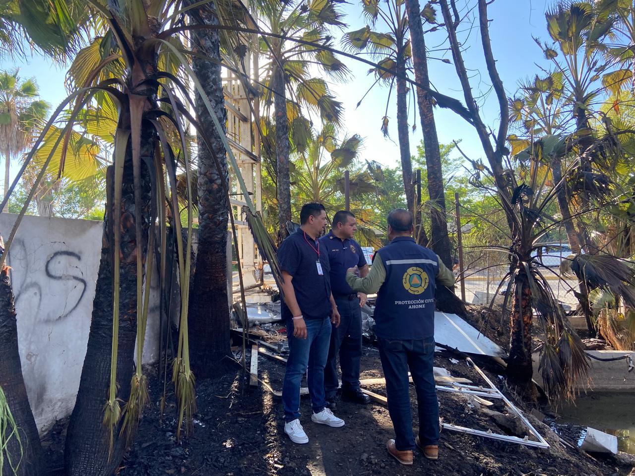 $!Corte de un letrero provoca incendio en palmeras de los patios del antiguo Ingenio Azucarero
