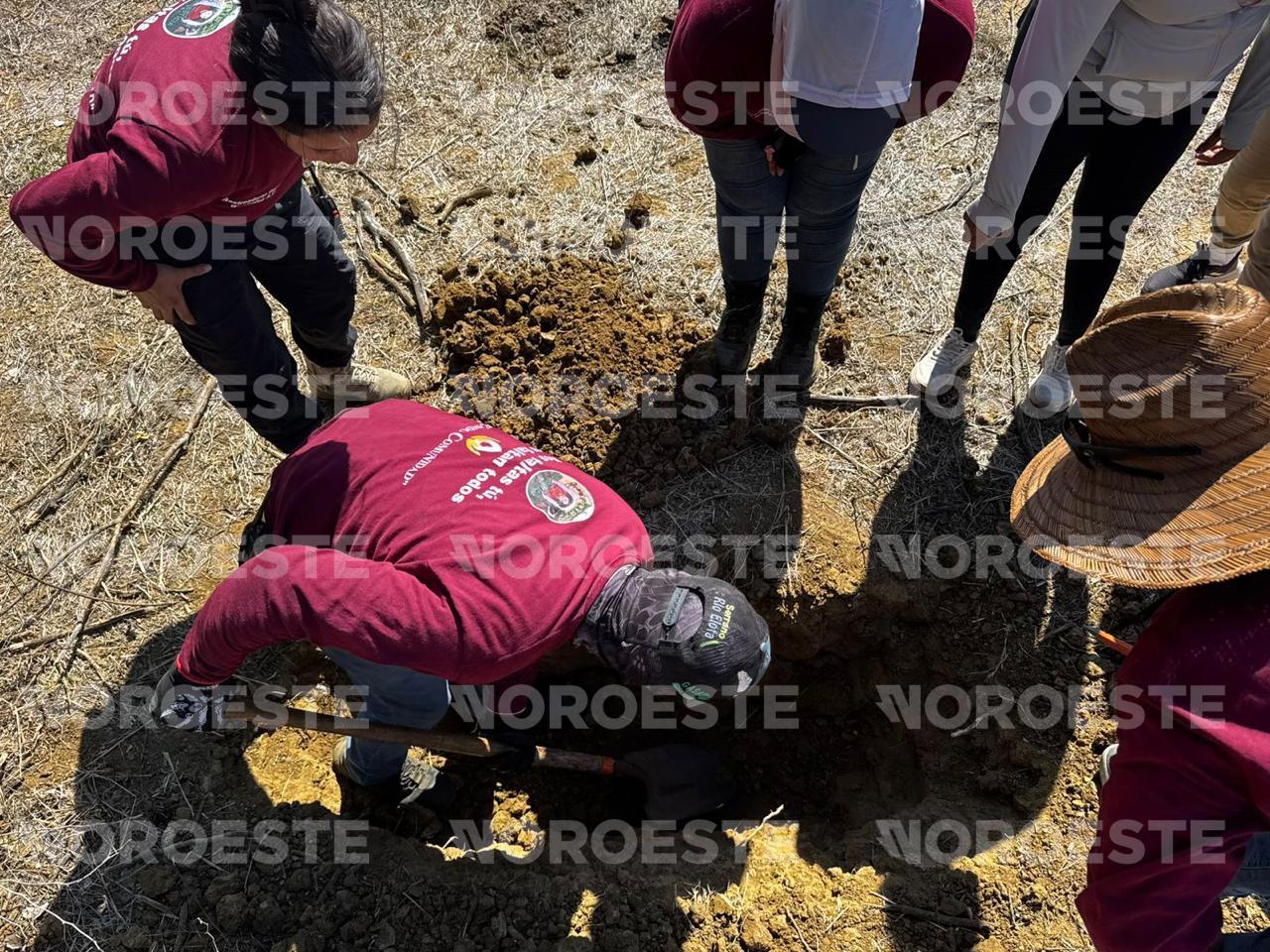 $!Realiza Fiscalía de Sinaloa búsqueda en nueva posible fosa clandestina en inmediaciones de El Verde, Concordia; encuentran un cuerpo