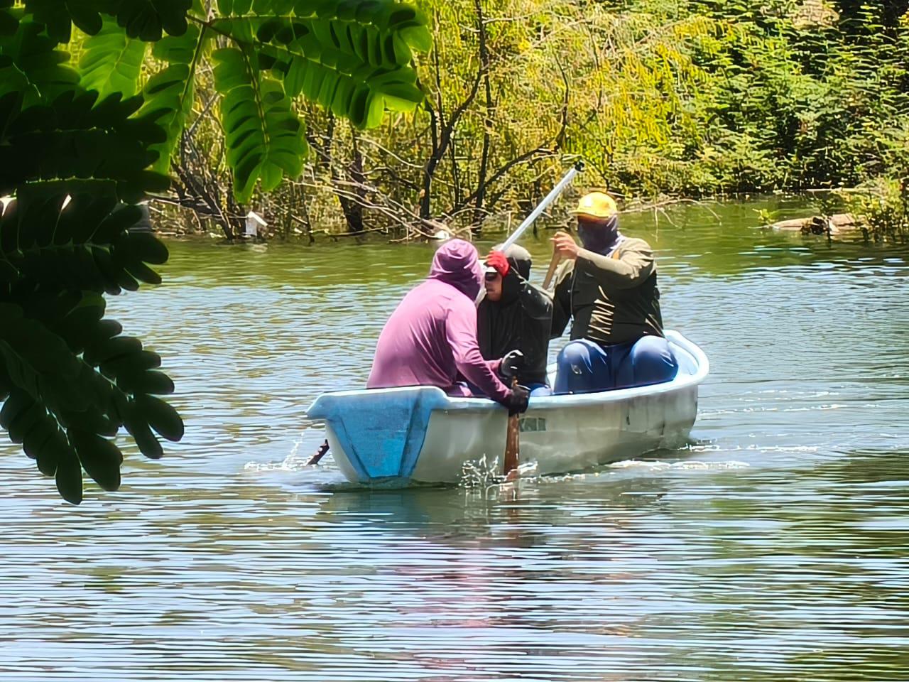 $!Tras lluvias en Rosario, Servicios Públicos realiza limpia en la Laguna del Iguanero