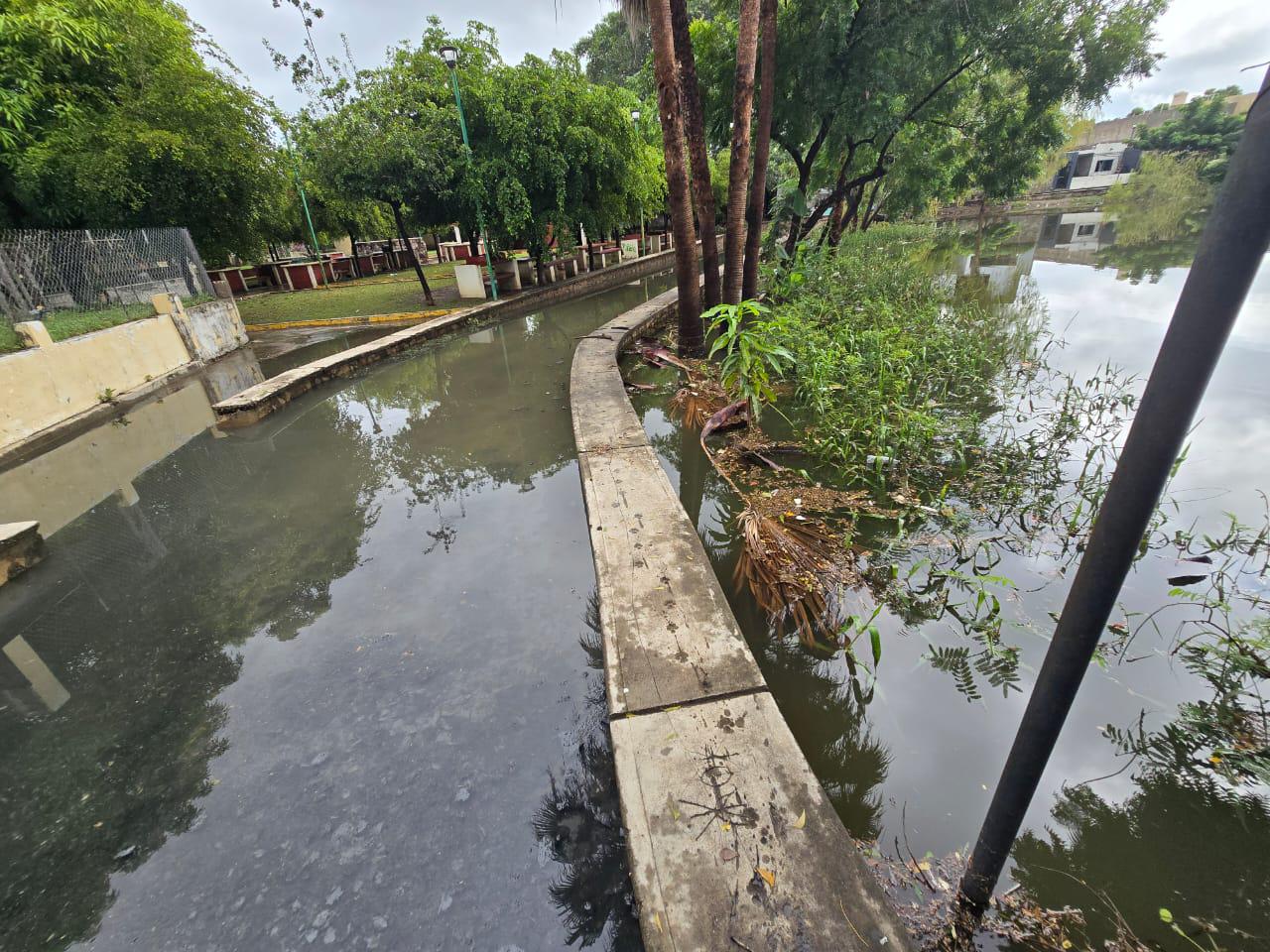 $!Se desbordan lagunas de El Rosario por tercera vez en la temporada; colonias reportan inundaciones y temor por contaminación
