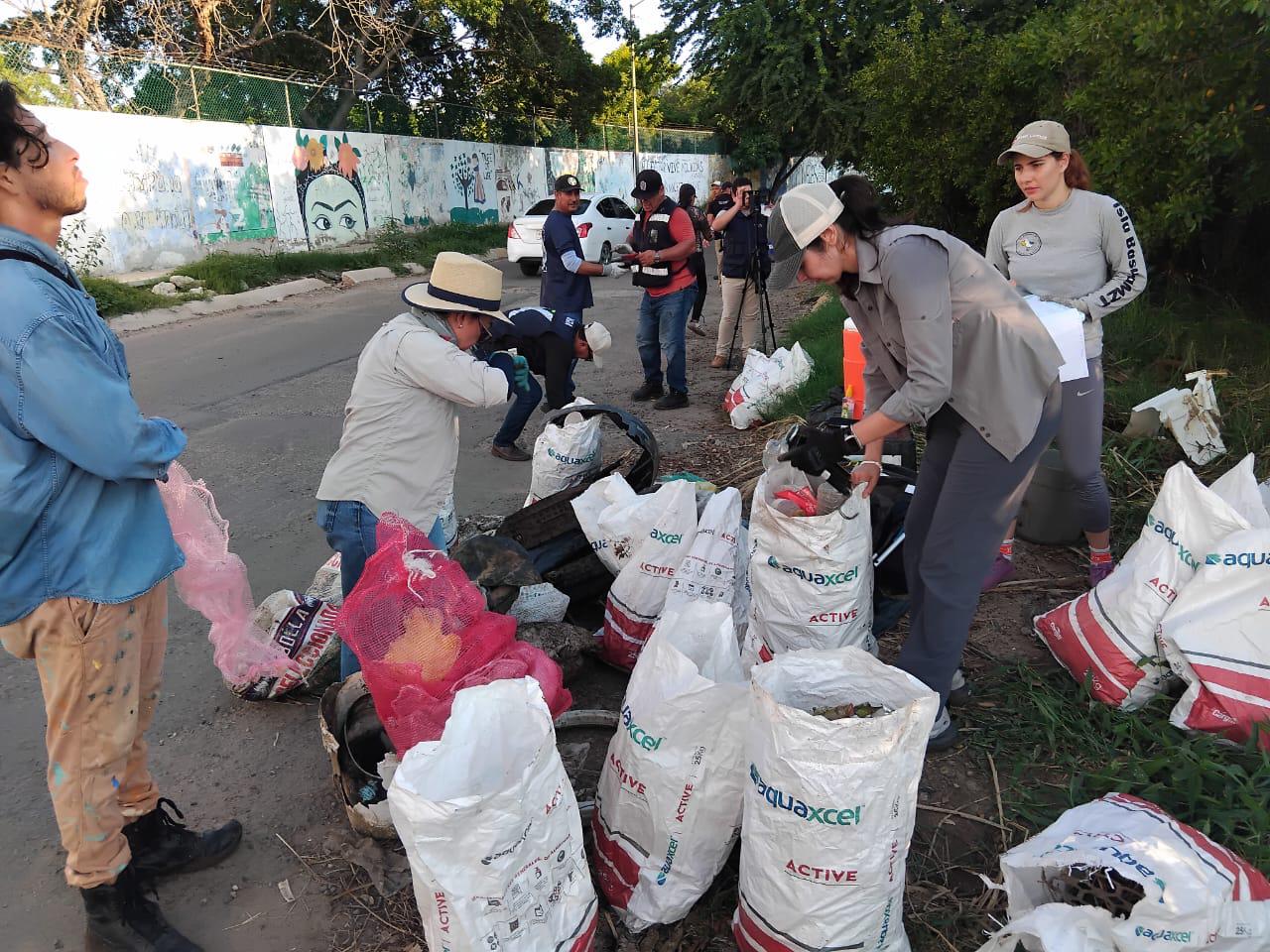 $!Ciudadanos defienden manglar con jornada de limpieza en el Arroyo Jabalines, en Mazatlán