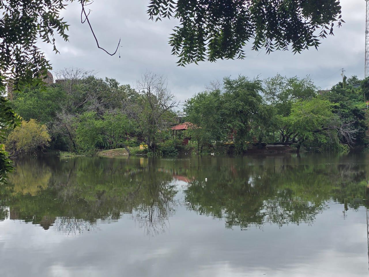 $!Se desbordan lagunas de El Rosario por tercera vez en la temporada; colonias reportan inundaciones y temor por contaminación