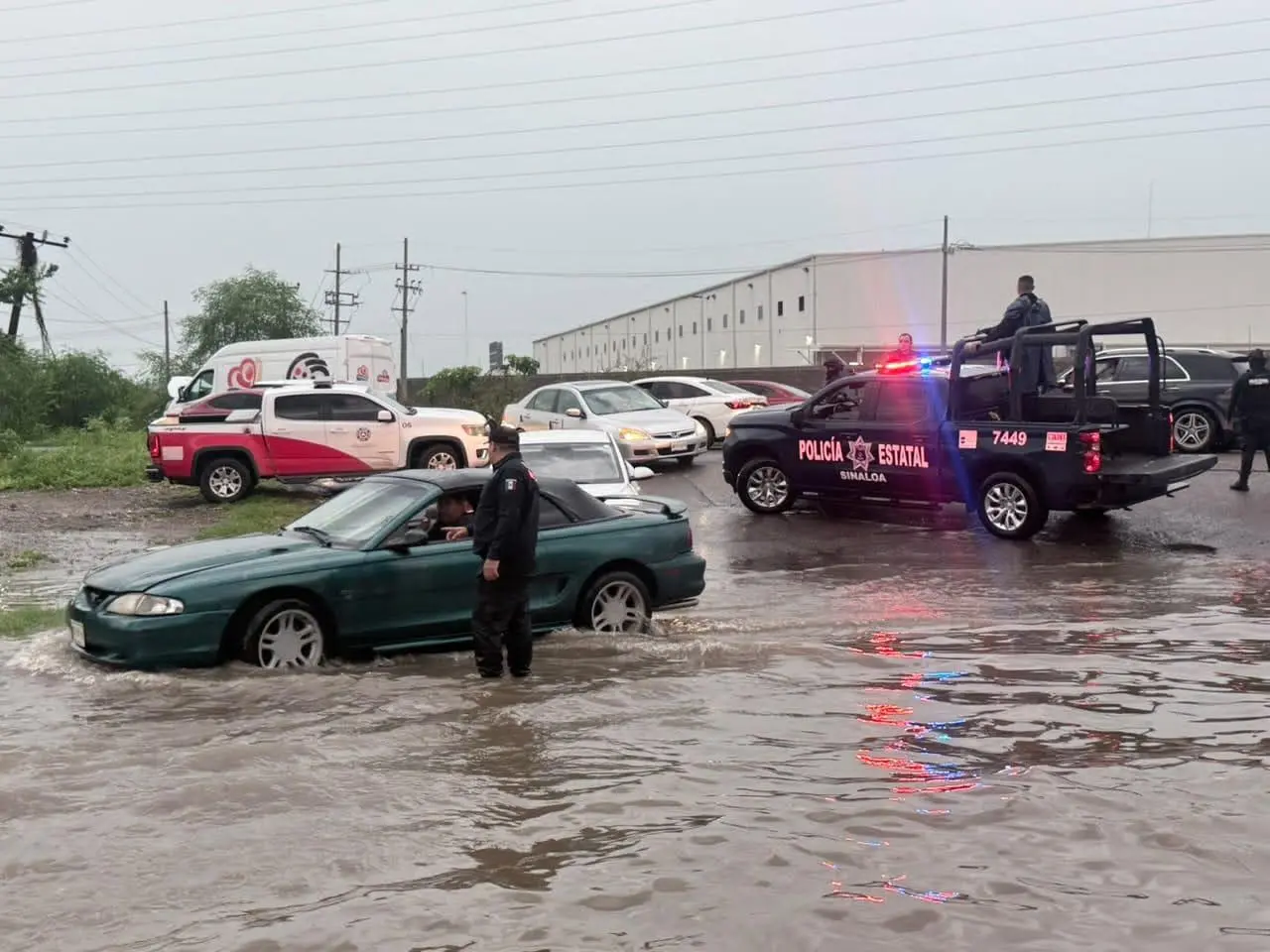 $!SSPE reporta afectaciones en Culiacán tras las lluvias: ocho árboles y tres postes caídos