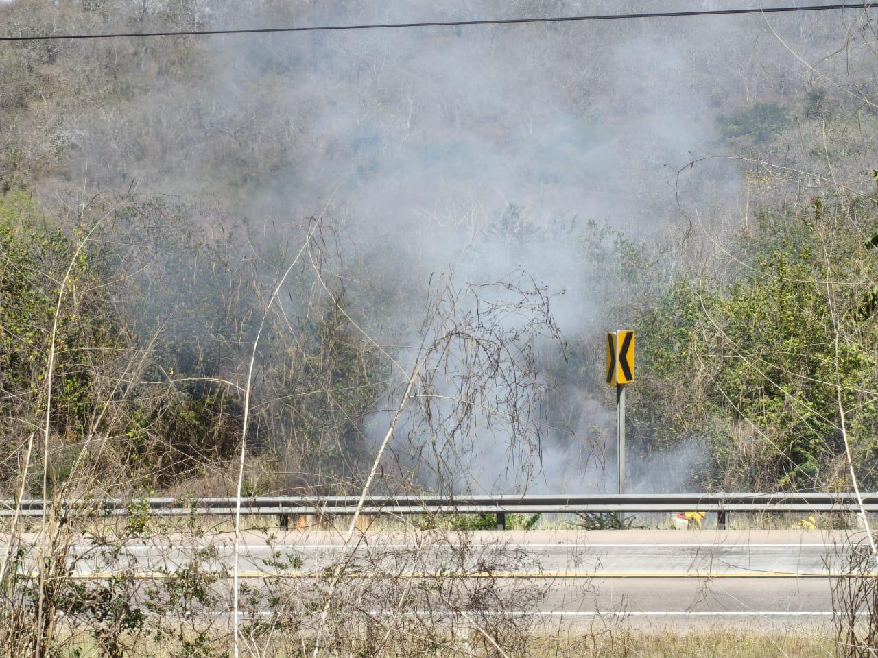 $!Incendio forestal en Rosario provoca apagón en Escuinapa