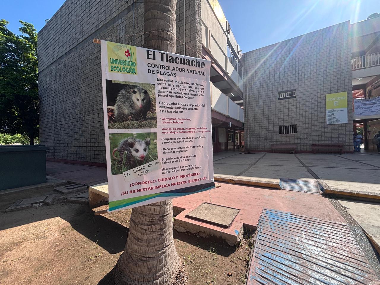 $!UAdeO implementa operativo contra garrapatas por plaga en campus Culiacán