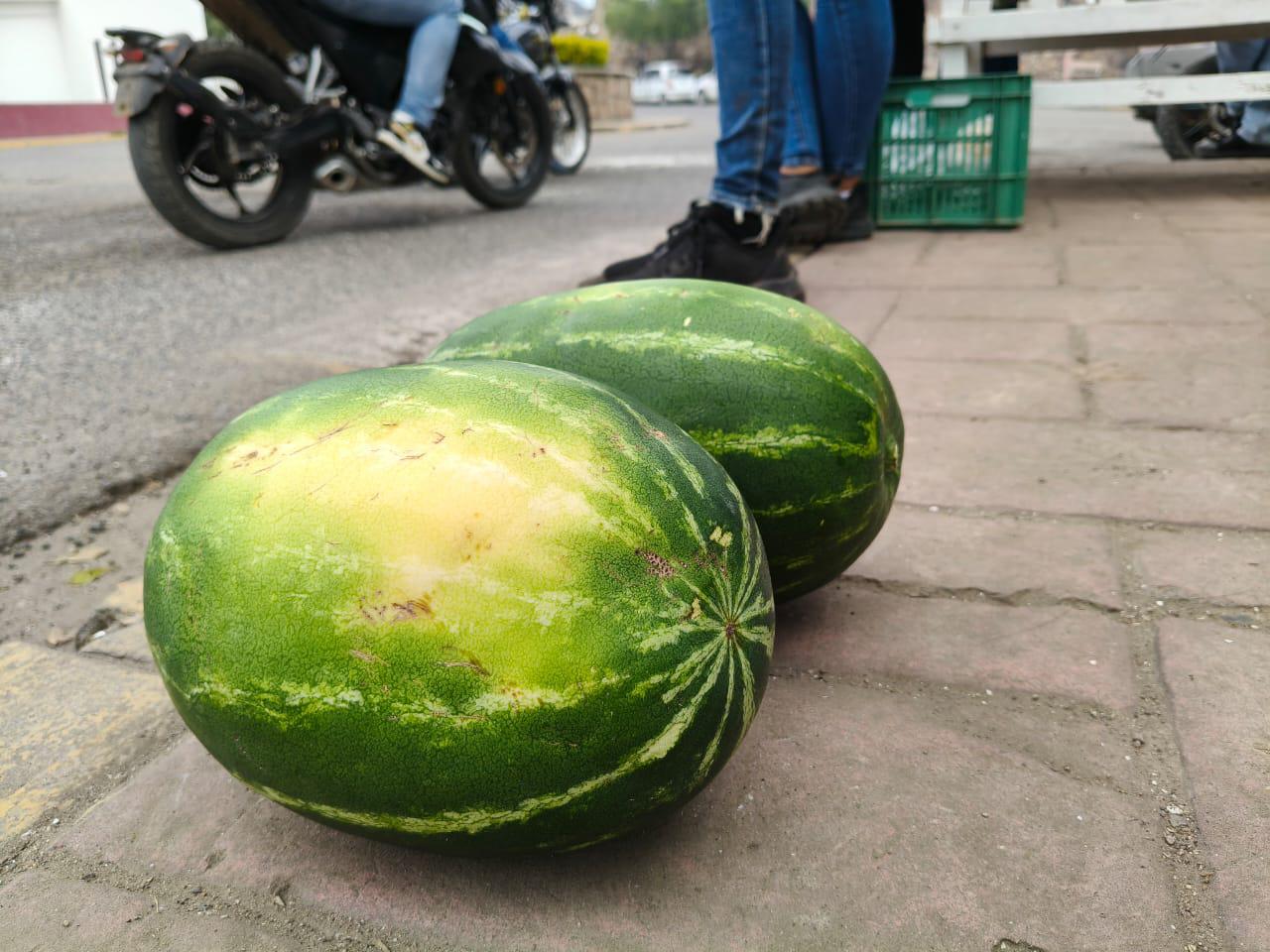 $!Estudiantes de Agronomía de la UAS ofertan el fruto de lo aprendido en las aulas en Rosario