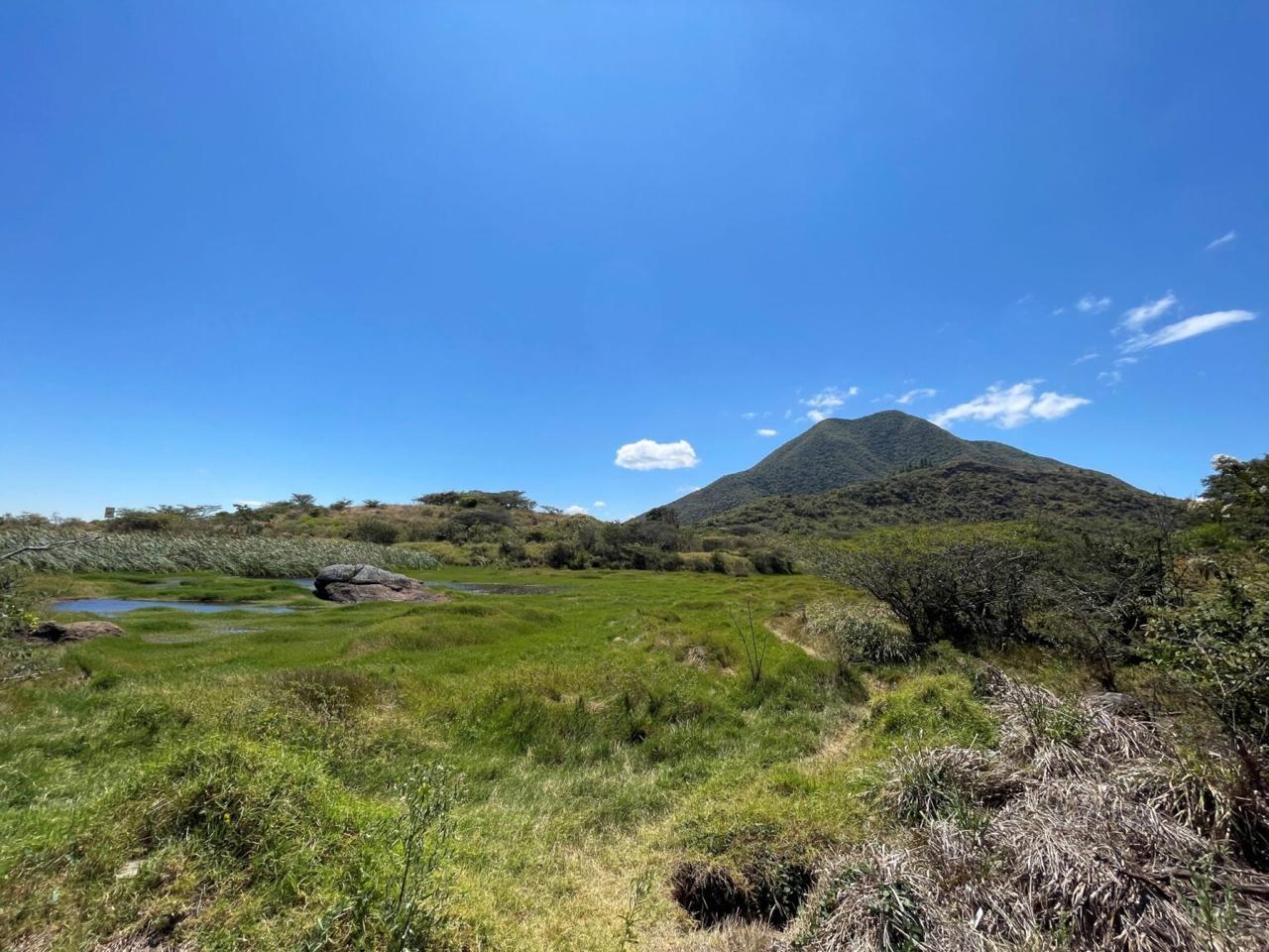 $!Vista actual de la laguna de la serpiente —como la conoce la comunidad—, la primera en ser recuperada del sistema de los Paltas, en Ecuador
