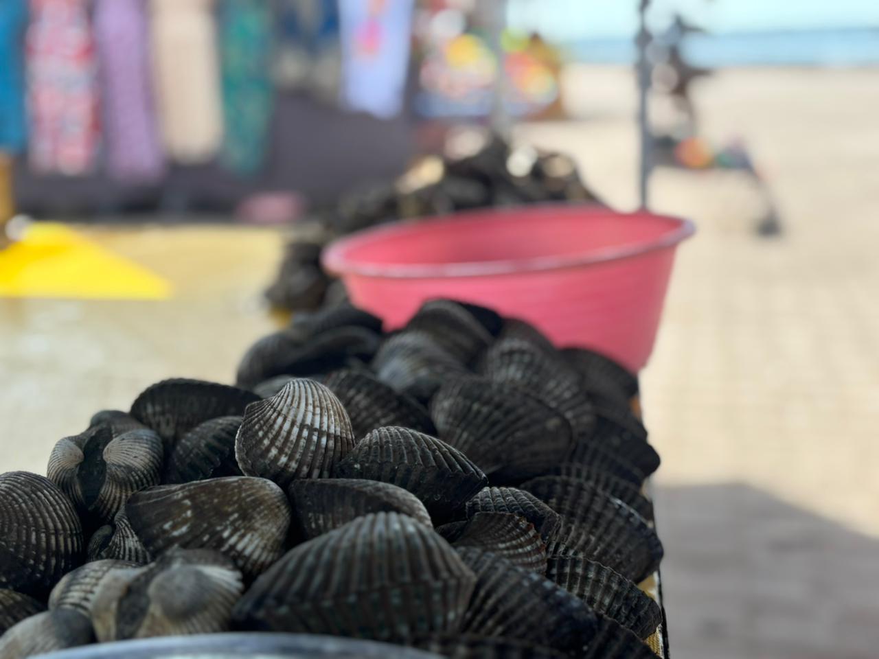 $!Comerciantes de Altata, entre el optimismo y la cautela por ventas en Semana Santa