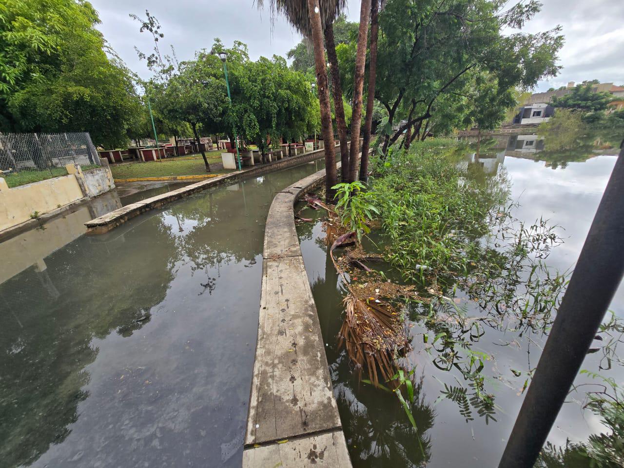 $!Por lluvias lagunas en Rosario se llenan no solo de agua también de basura