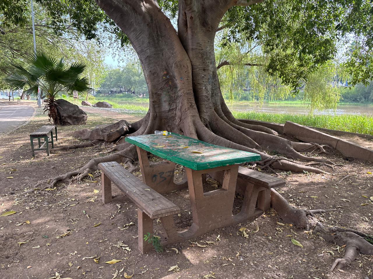 $!Denuncian abandono en el parque Las Riberas, en Culiacán; presenta fallas en el alumbrado y falta de mantenimiento