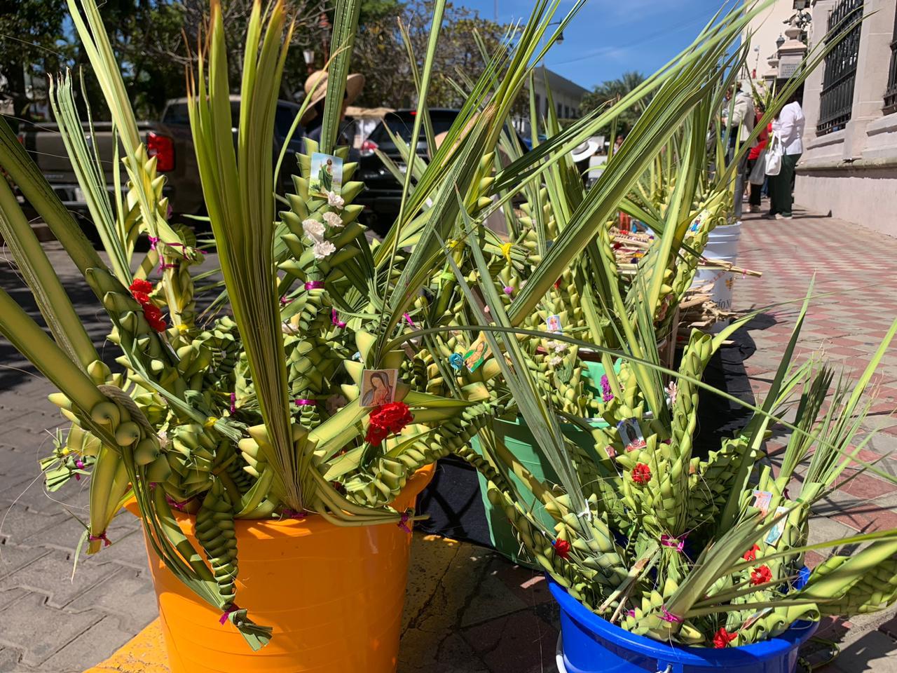 $!Don José comparte sus 50 años de experiencia de tejer la palma