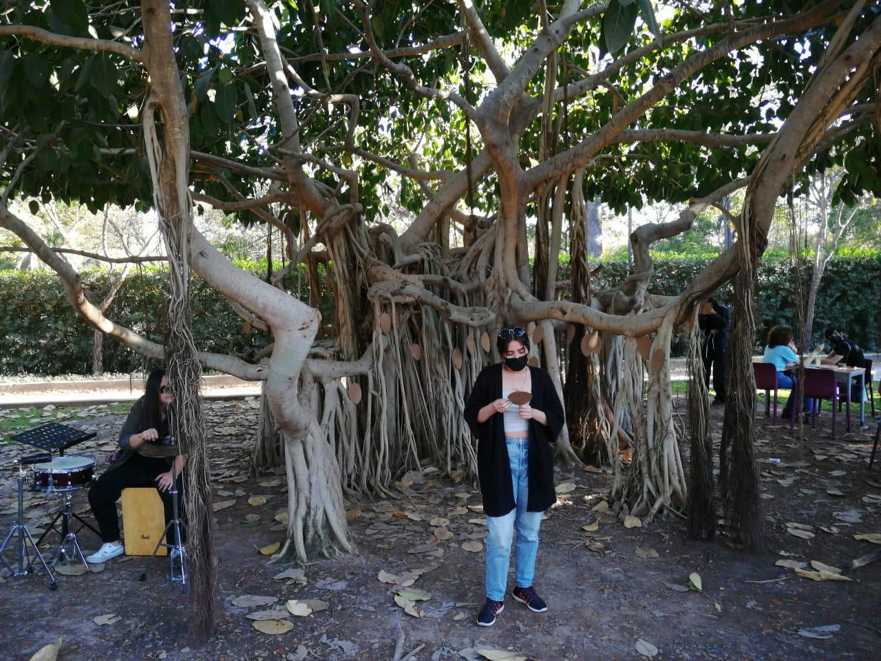 $!Florece la poesía en un árbol del Jardín Botánico de Culiacán