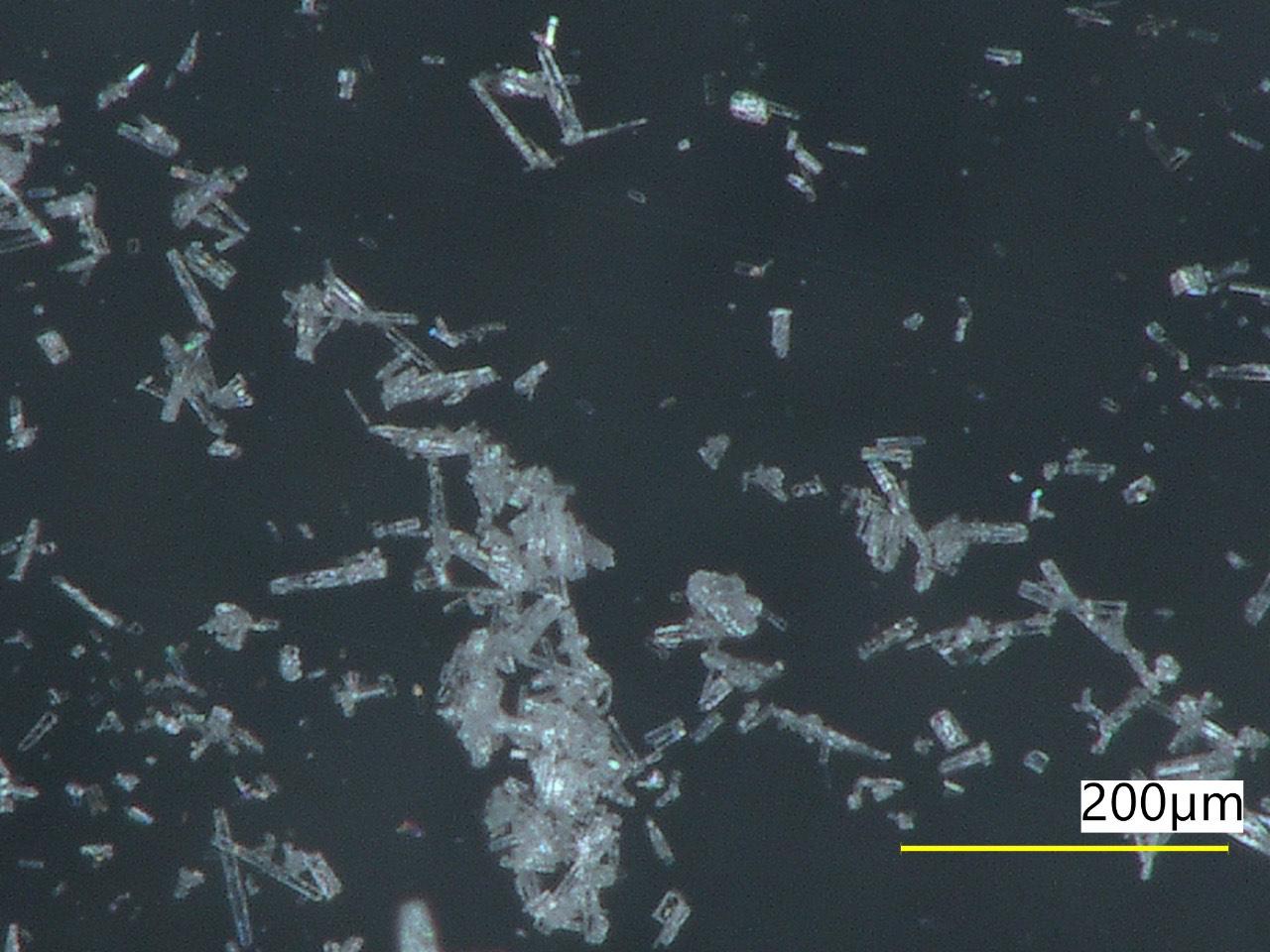 $!Cristales de carbonato de litio, grado batería, producidos a partir de las arcillas que llegaron al laboratorio del CIMAV.