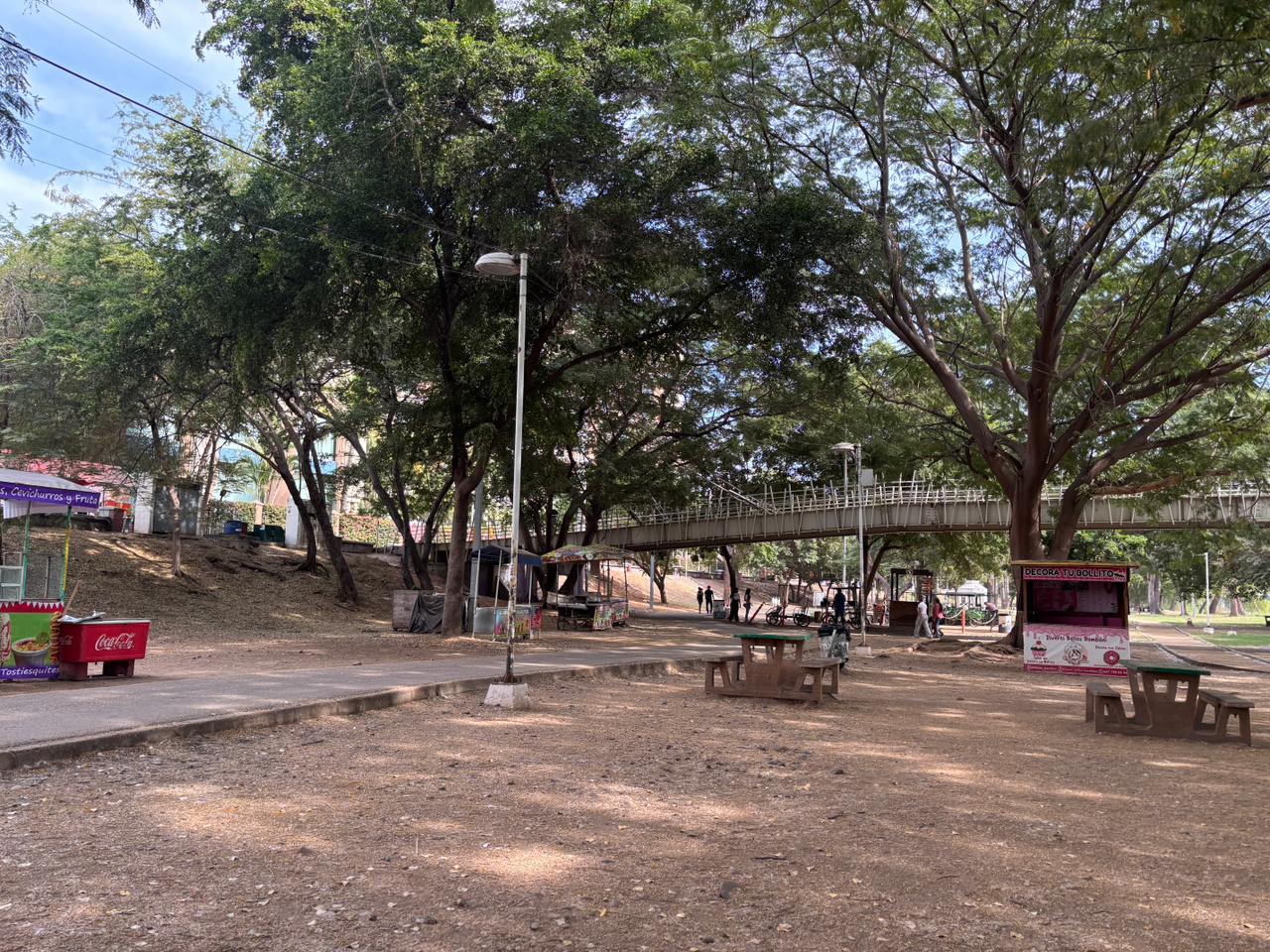 $!Denuncian abandono en el parque Las Riberas, en Culiacán; presenta fallas en el alumbrado y falta de mantenimiento