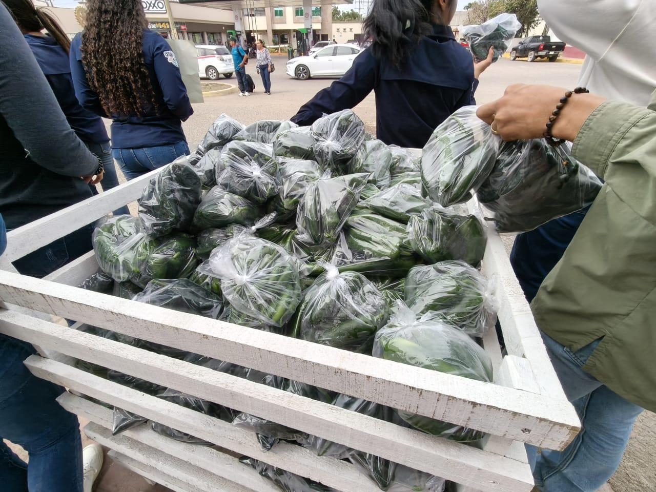 $!Estudiantes de Agronomía de la UAS ofertan el fruto de lo aprendido en las aulas en Rosario