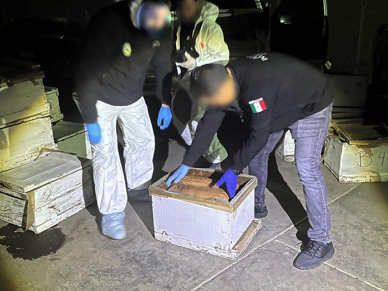 $!Aseguran 1.2 millones de pastillas de fentanilo en panales de abeja al norte de Culiacán