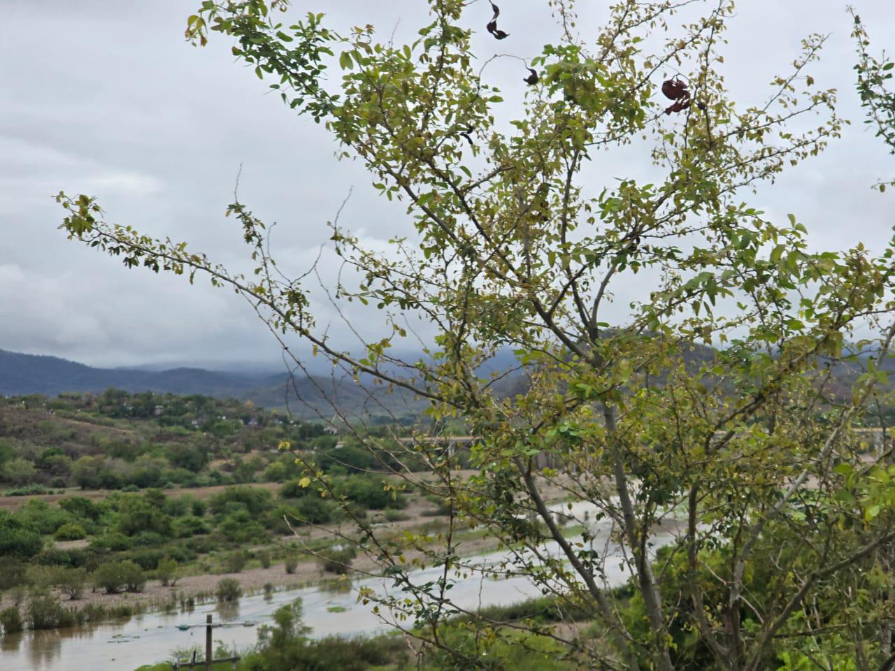 $!Las primeras lluvias ‘abonan’ a que el río Baluarte, en Rosario, tome fuerza