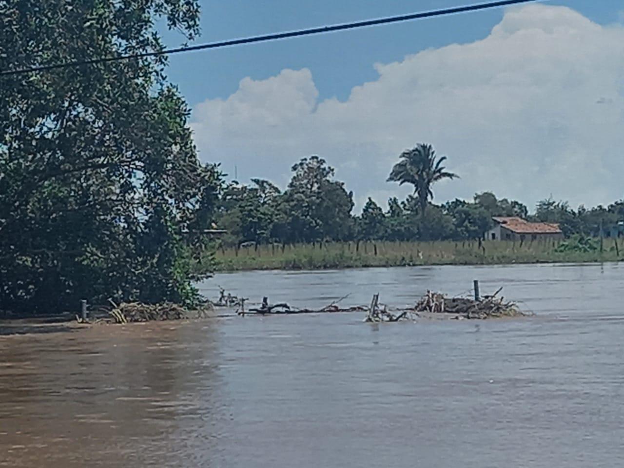 Leyva solano (98) foto