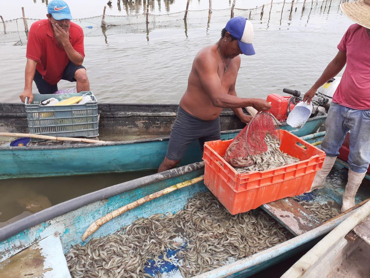$!Escuinapa cumple 106 años como municipio, y su gente lo celebra a diario con sus sabores, sus tradiciones y sus paisajes de ensueño