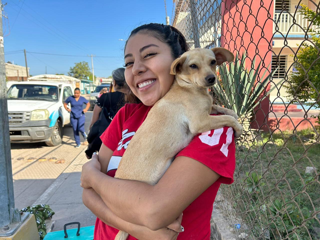 $!Realizan campaña de esterilización de perros en Villa Unión